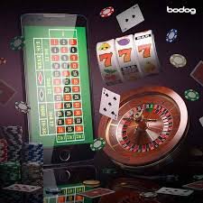144bet6