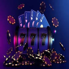 144bet6